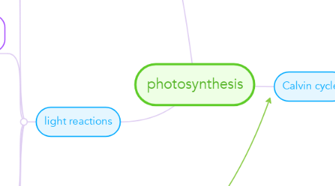 Mind Map: photosynthesis