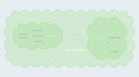 Mind Map: MÉDULA ESPINAL