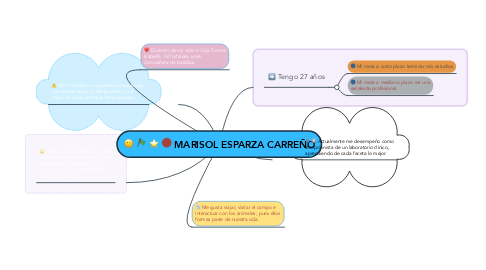 Mind Map: MARISOL ESPARZA CARREÑO