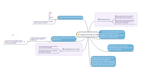 Mind Map: Trayectoria de mi vida