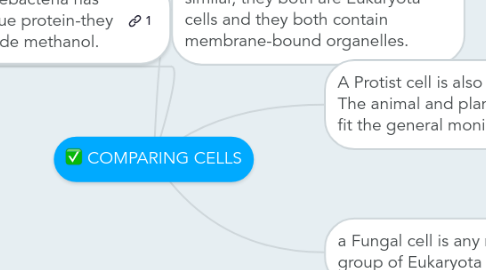 Mind Map: COMPARING CELLS