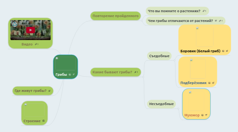 Mind Map: Грибы