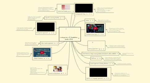 Mind Map: Categories of Disabilities Under IDEA