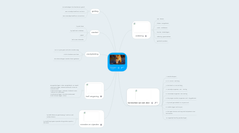 Mind Map: tijger