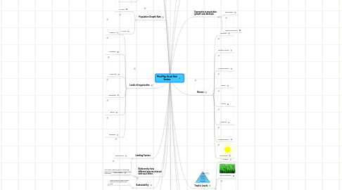 Mind Map: Mind Map Vocab Nick Soriano