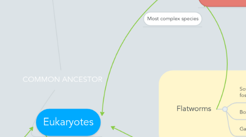 Mind Map: COMMON ANCESTOR