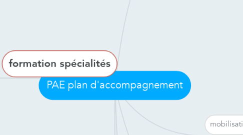 Mind Map: PAE plan d'accompagnement