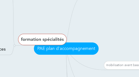 Mind Map: PAE plan d'accompagnement