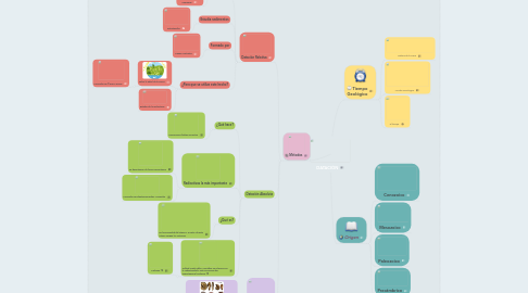 Mind Map: DATACIÓN