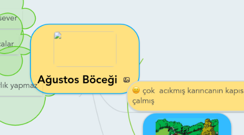 Mind Map: Ağustos Böceği