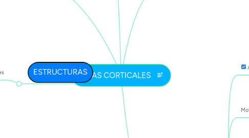 Mind Map: ÁREAS CORTICALES