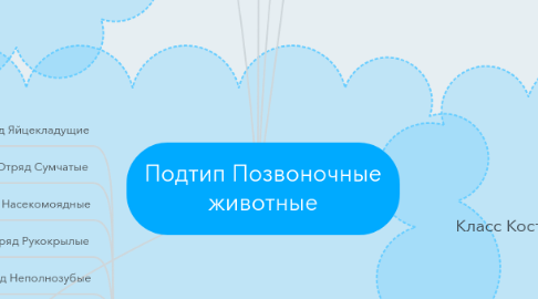 Mind Map: Подтип Позвоночные животные