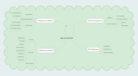 Mind Map: Царство растения