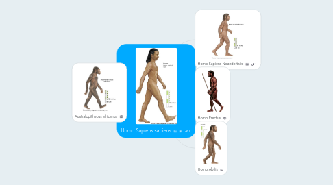 Mind Map: Homo Sapiens sapiens