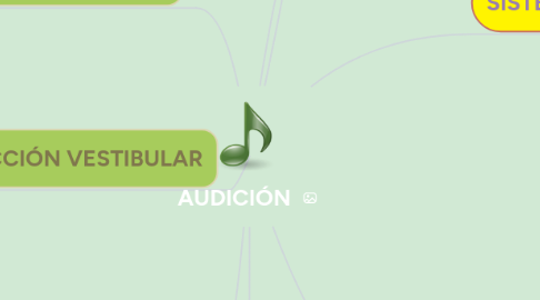 Mind Map: AUDICIÓN