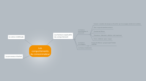 Mind Map: Les comportements du consommateur