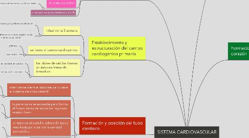 Mind Map: SISTEMA CARDIOVASCULAR