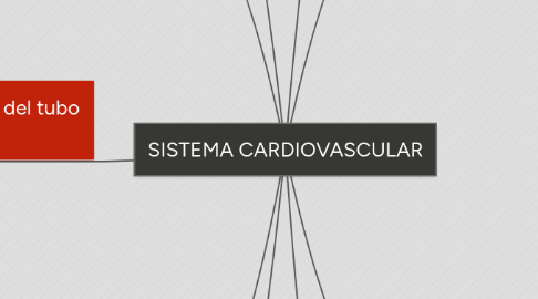 Mind Map: SISTEMA CARDIOVASCULAR