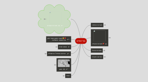 Mind Map: גוף האדם