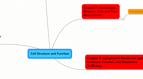 Mind Map: Cell Structure and Function