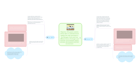 Mind Map: Objective: 5th grade students will be able to understand and explain the main processes in the Nitrogen Cycle and how different forms of nitrogen and nutrients move between plants, animals, decomposers and the environment