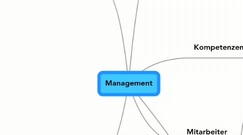 Mind Map: Management