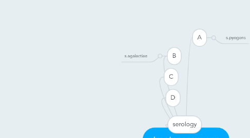 Mind Map: streptococcus spp.