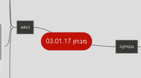 Mind Map: מבחן 03.01.17