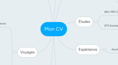 Mind Map: Mon CV