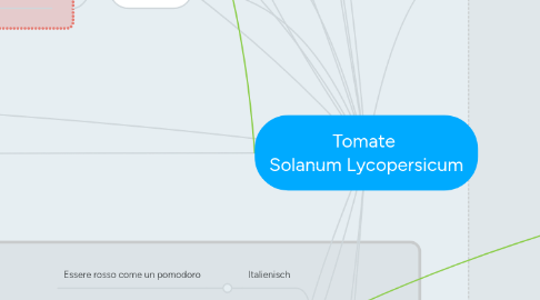 Mind Map: Tomate  Solanum Lycopersicum