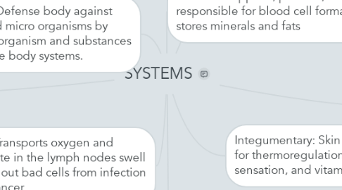 Mind Map: SYSTEMS