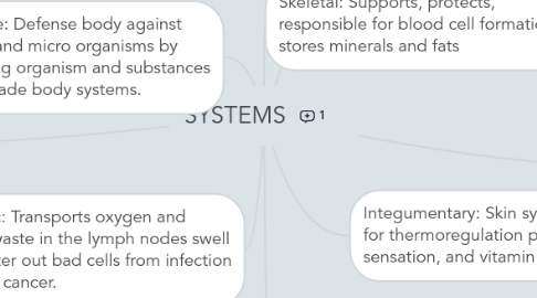 Mind Map: SYSTEMS