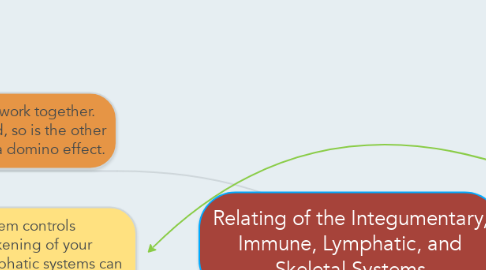 Mind Map: Relating of the Integumentary, Immune, Lymphatic, and Skeletal Systems