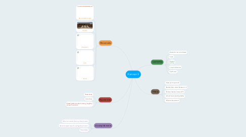 Mind Map: Ramses ll