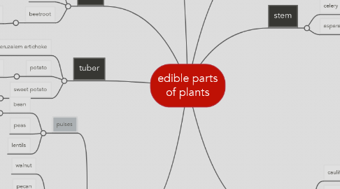 Mind Map: edible parts of plants