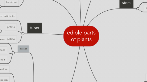 Mind Map: edible parts of plants