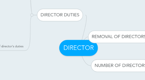 Mind Map: DIRECTOR