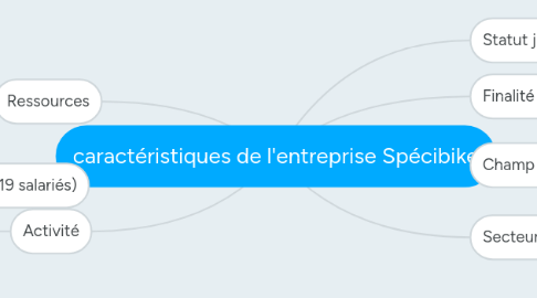 Mind Map: caractéristiques de l'entreprise Spécibike