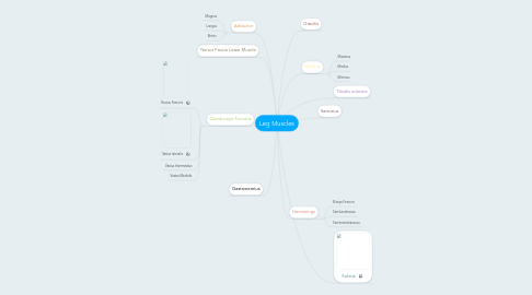 Mind Map: Leg Muscles