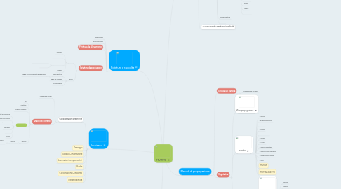 Mind Map: FRUTTETO