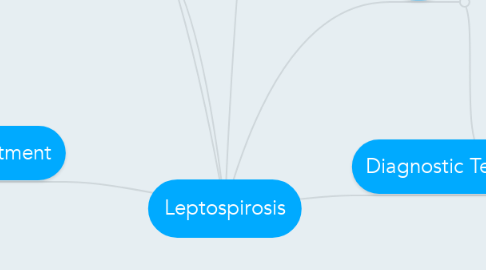 Mind Map: Leptospirosis