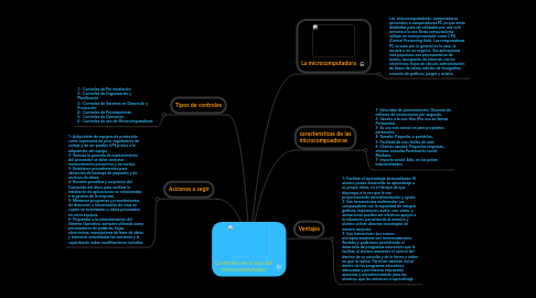 Mind Map: Controles en el uso del microcomputador