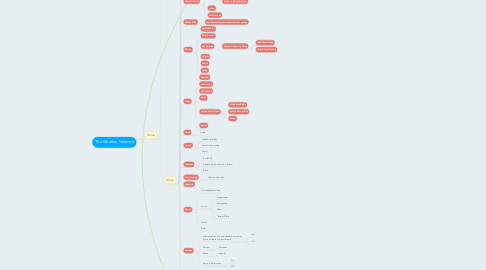 Mind Map: The Weather Network