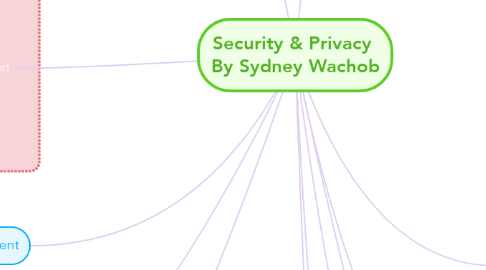 Mind Map: Security & Privacy  By Sydney Wachob