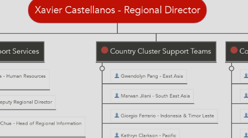 Mind Map: Xavier Castellanos - Regional Director
