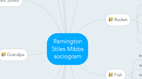 Mind Map: Remington Stiles Mibbs sociogram