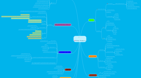 Mind Map: E-shop - Nutripo