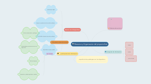 Mind Map: Planacion y Organizacion del proyecto final