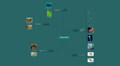 Mind Map: LAS ERAS GEOLOGICAS