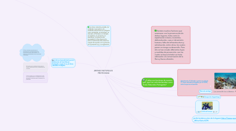 Mind Map: ARENAS NATURALES  PROTEGIDAS